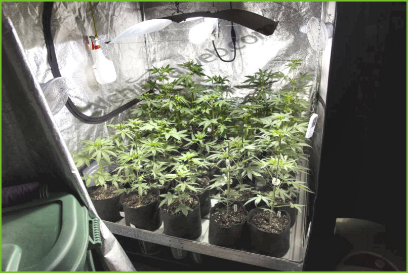 Armario ikea para cultivo marihuana
