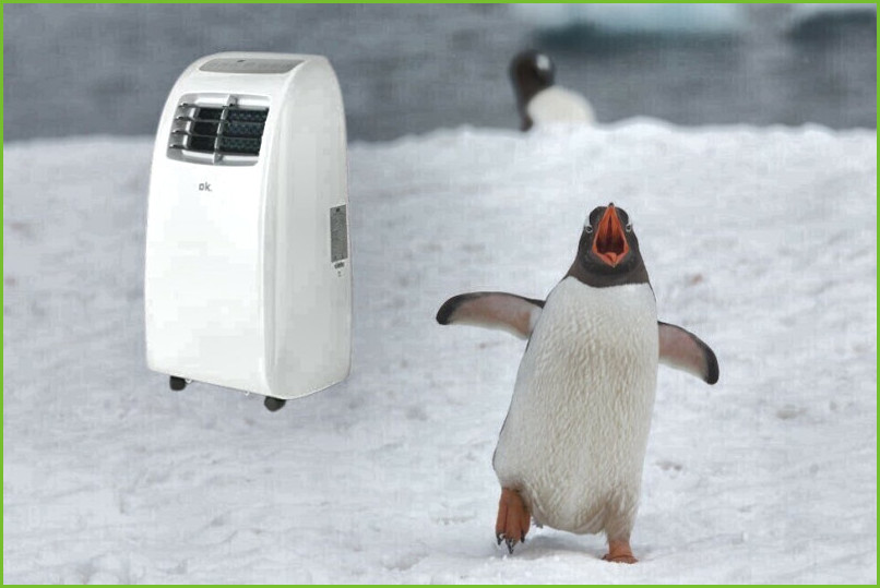 Pingüinos de aire baratos bricodepot